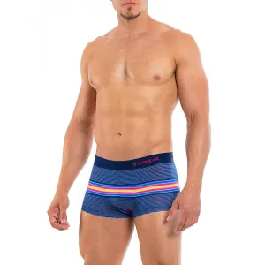 Beachside Stripes Brazilian Trunk In Very Berry