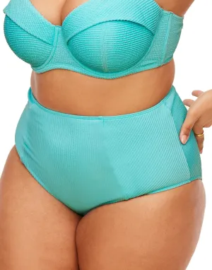 Rachelle Women's Plus-Size Swimwear High-Waist Bikini Bottom